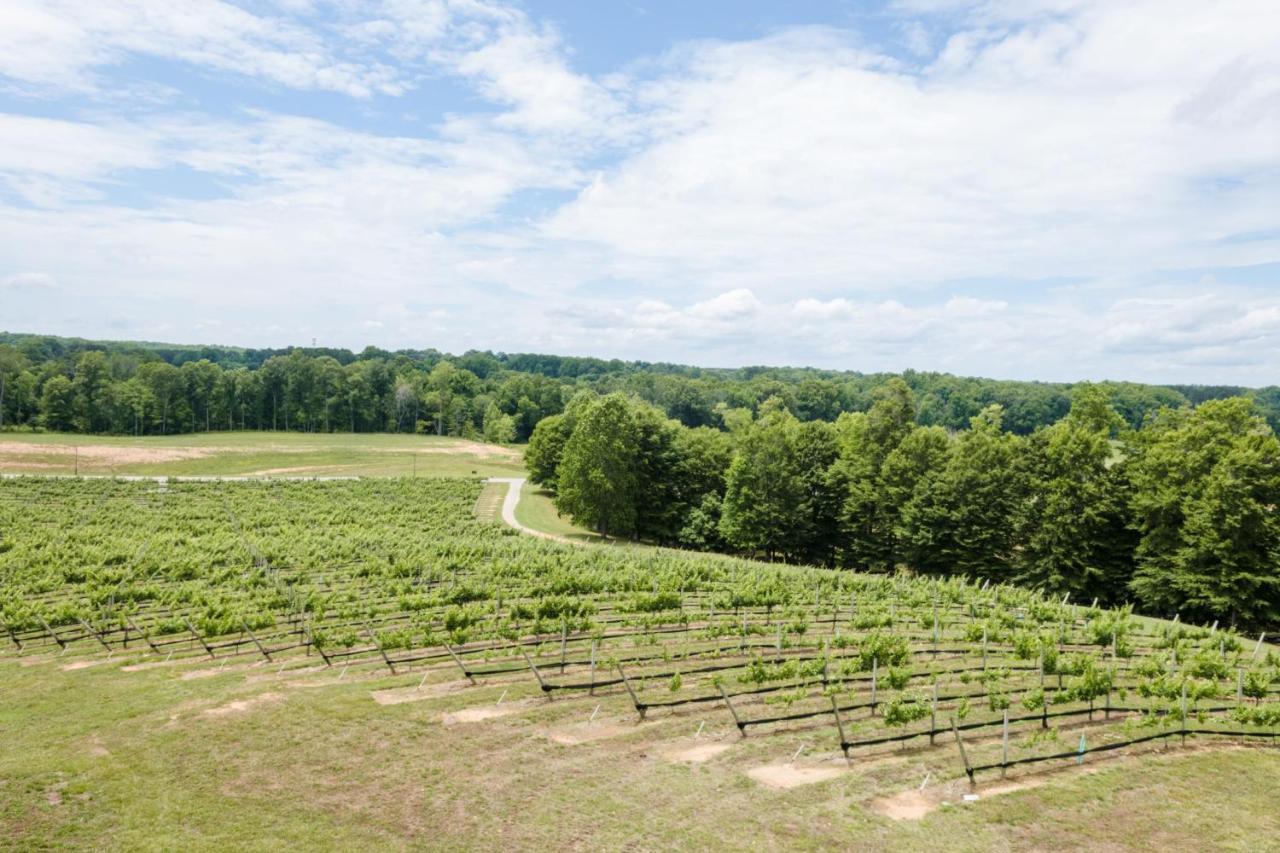 Holiday Inn Express & Suites Lexington North West-The Vineyard, An Ihg Hotel Exterior photo